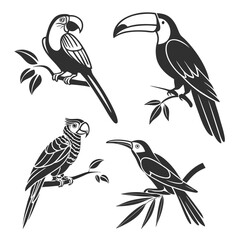 Obraz premium Tropical bird silhouettes toucan macaw parrot isolated on white background silhouette