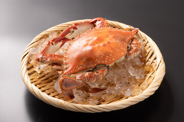 ［北海道産］ボイル　ワタリガニ　子持ち