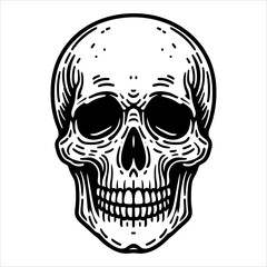 Obraz premium Skull 02.eps