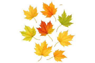 Fototapeta premium Colorful maple leaves falling gently on a transparent background, creating a vibrant autumnal scene