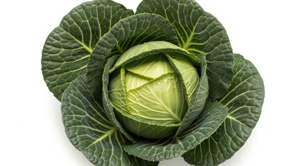 Obraz premium Fresh Green Cabbage Healthy Vegetable Food Ingredient for Cooking and Nutrition