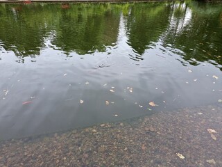 beautiful view of the pond
