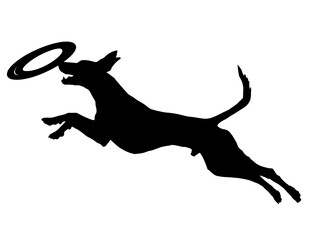 Fototapeta premium Black Silhouette of a Leaping Dog Catching a Frisbee on a White Background