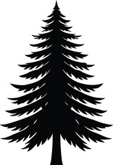 Obraz premium Evergreen Tree Silhouette
