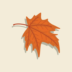Naklejka premium Autumn leaves of orange maple leaf illustration fall season isolated vector