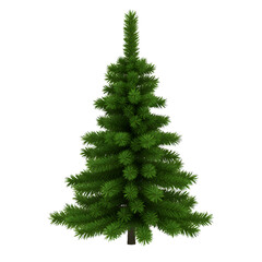 A green christmas tree is isolated on transparent background