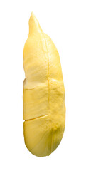 Yellow pulp of ripe durian fruit without peel isolated with clipping path in png file format