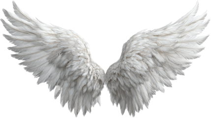 Realistic angel wings in white feathery form, fantasy concept, isolated on tranparent background 