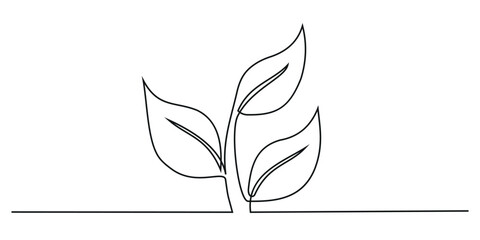 Continuous one line drawing of step of grow plant. Vector illustration. Editable stroke.