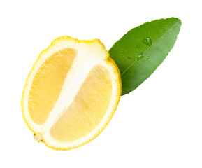 Front view of ripe yellow lemon fruit in slice and ellipse or oval half with one green leaf...