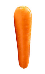 Top view of one fresh orange carrot root isolated with clipping path in png file format