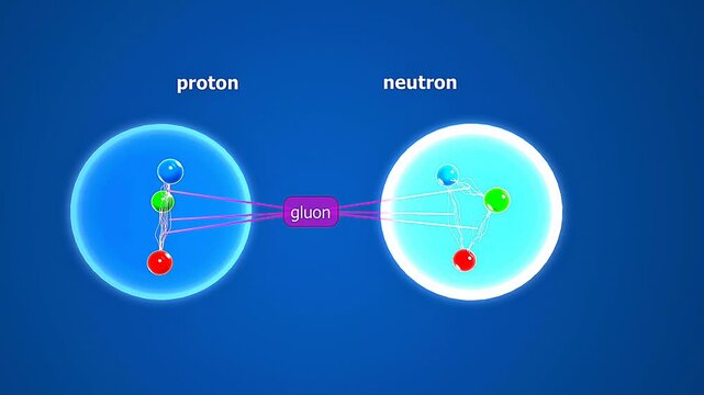  Gluon.