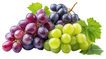 Set of fresh grapes in green and purple tones for fruit or juice themes, isolated on tranparent background 