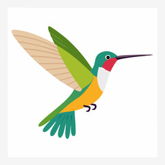 Colorful Hummingbird in Flight with Detailed Wing and Tail Feathers