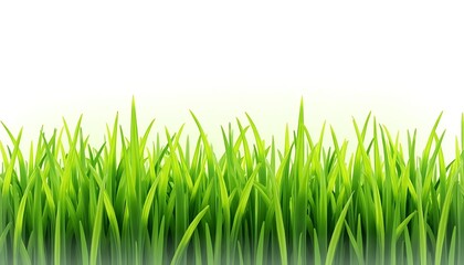Fototapeta premium Green Grass Field