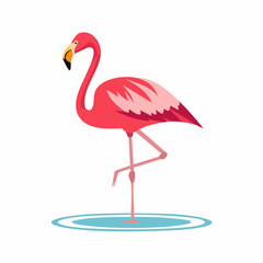 Fototapeta premium Elegant Flamingo Standing Gracefully on One Leg in a Calm Blue Pool