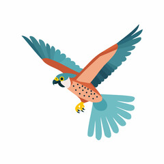 Fototapeta premium American Kestrel in Flight: Detailed Avian Illustration