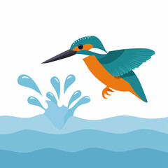 Fototapeta premium Kingfisher in Flight Diving for Fish, Water Splash