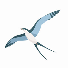 Obraz premium Graceful Blue and White Bird in Flight with Long Tail Feathers
