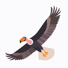 Fototapeta premium Majestic California Condor Soaring in Flight with Wings Spread Wide
