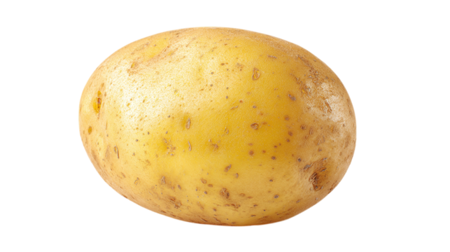 Single potato with skin texture, whole vegetable representation, isolated on tranparent background 