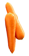 Side view of three fresh orange carrot roots in stack isolated with clipping path in png file format