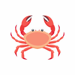 Cartoon Crab with Red Claws and Detailed Orange Shell