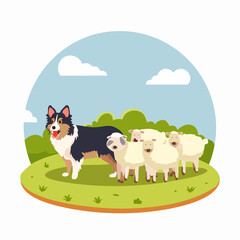Naklejka premium A Border Collie Herding Sheep on a Sunny, Green Pasture