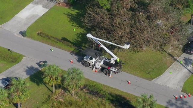 Electricity outage prevention. Electrician worker trimming tree around power lines.