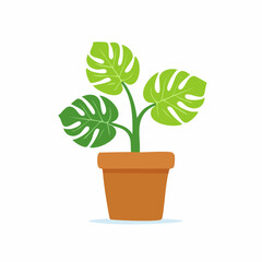 Obraz premium Cartoon Monstera Plant in a Brown Pot with Large, Green Leaves