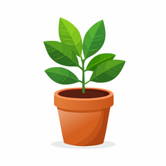 Fototapeta premium Vibrant Green Plant Growing in a Terracotta Pot, Upward View.