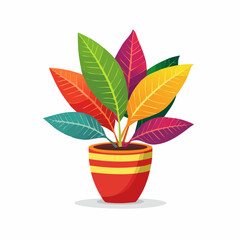 Vividly Colored Plant in a Decorative Pot with Striking Leaf Hues
