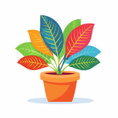 Vibrant, Colorful Houseplant with Bold Leaf Veins in Orange Pot.