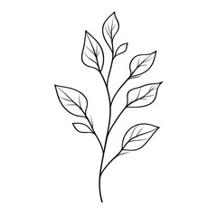 Fototapeta premium A simple line drawing of a plant stem with several leaves on a transparent background