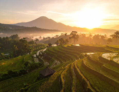 Emerald Stairways to Heaven: Thousand-Year-Old Subak Irrigation System Creates Nature's Perfect Symphony at Dawn