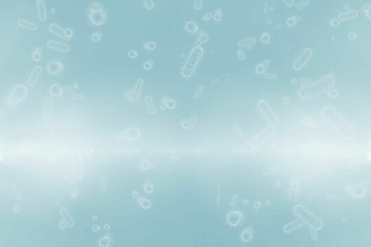 Three dimension image of bacterium