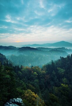 Fototapeta Scenic view of forest against cloudy sky