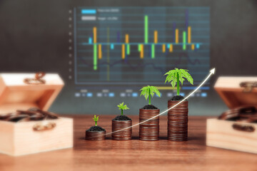 Coins stacked graph with tree growth for money savings plan ideas and investment planning goal and bank home loan or financial insurance.