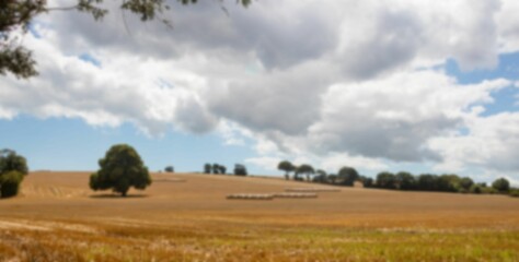 Tranquil scene of landscape