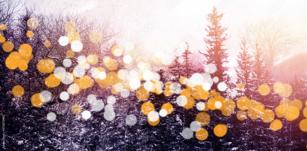 Poster trees during winter with bokeh in foreground