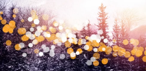 Schilderijen op glas Trees during winter with bokeh in foreground © vectorfusionart
