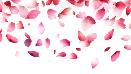 Soft pink and purple flower petals gently fall against a clean transparent background