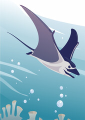 Flat Vector Illustration of a Manta Ray Swimming