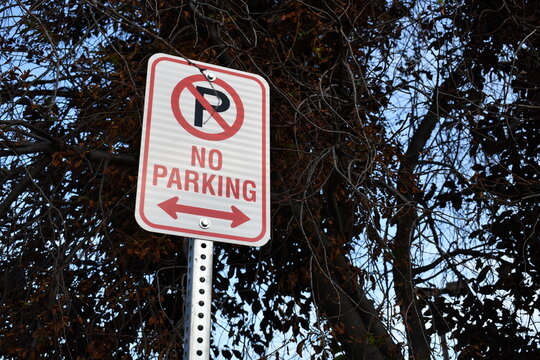 No parking sign with tree in the background.
