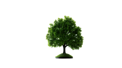 A board meeting discussing the importance of sustainability with professional executives in corporate environment isolated on white background