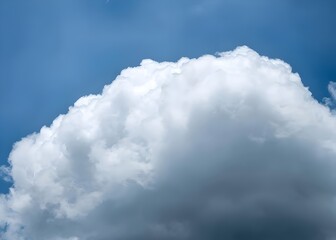 Silhouette of a bird soaring high in the blue sky with dramatic white clouds