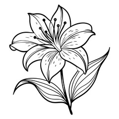 black and white flower