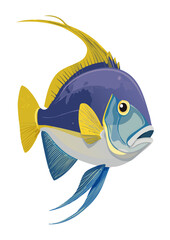 Flat Vector Illustration of a Colorful Napoleon Wrasse Fish