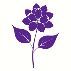 violet flower isolated on white