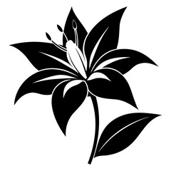 black and white flower